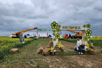 Всероссийский День поля масличных культур<br/> в Ивановской области
